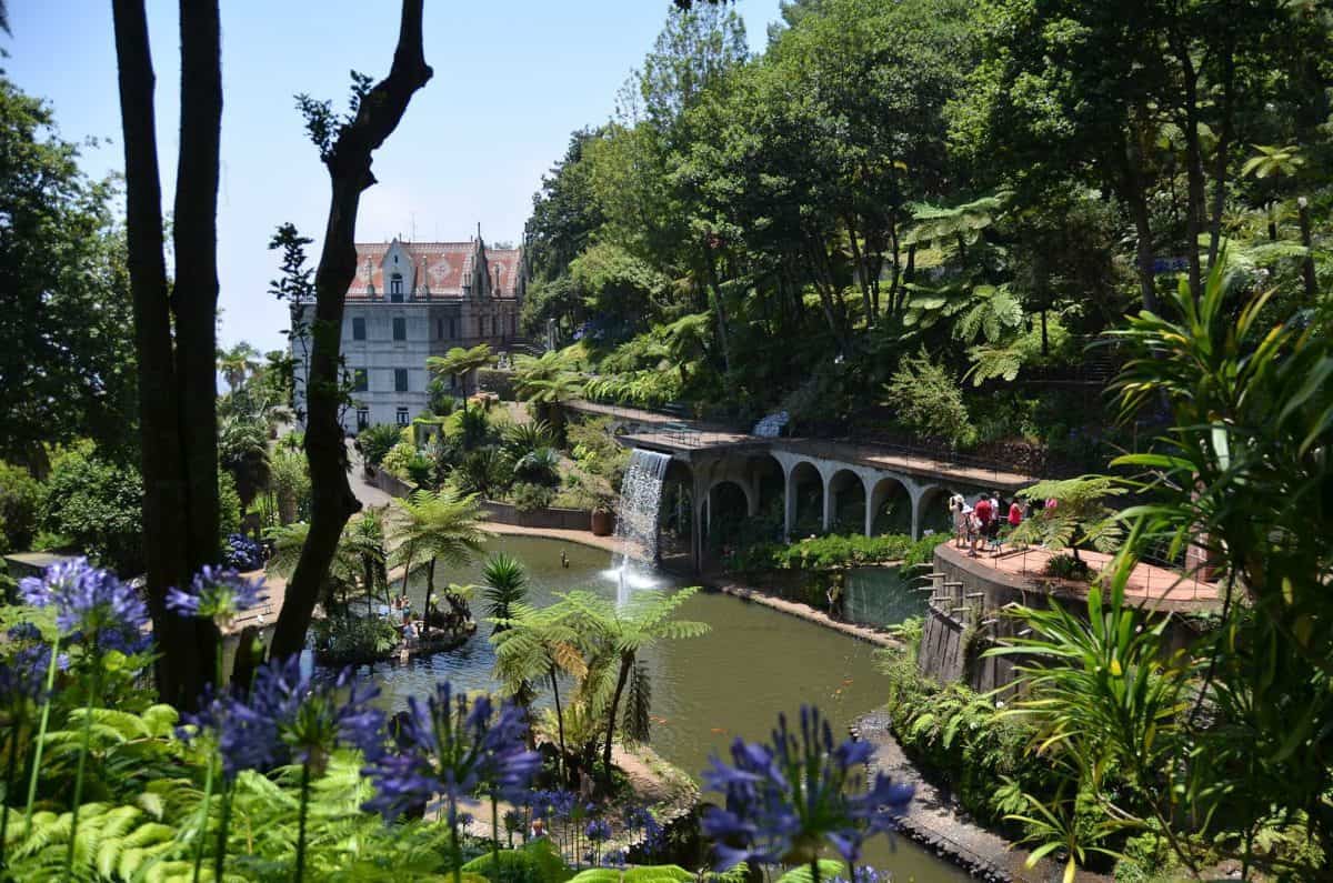 Garten und Pflanzen von Madeira