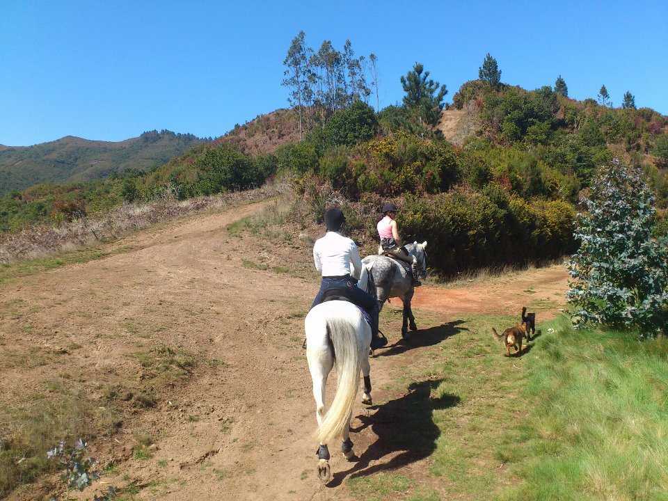Horse riding - Santo da Serra Equestrian centre